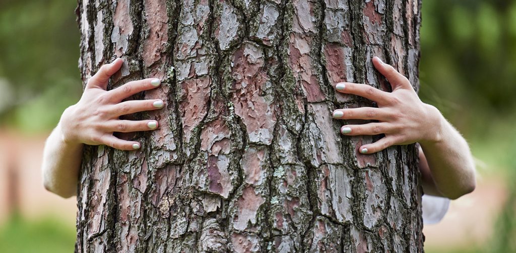 Kinderhände umarmen einen Baumstamm